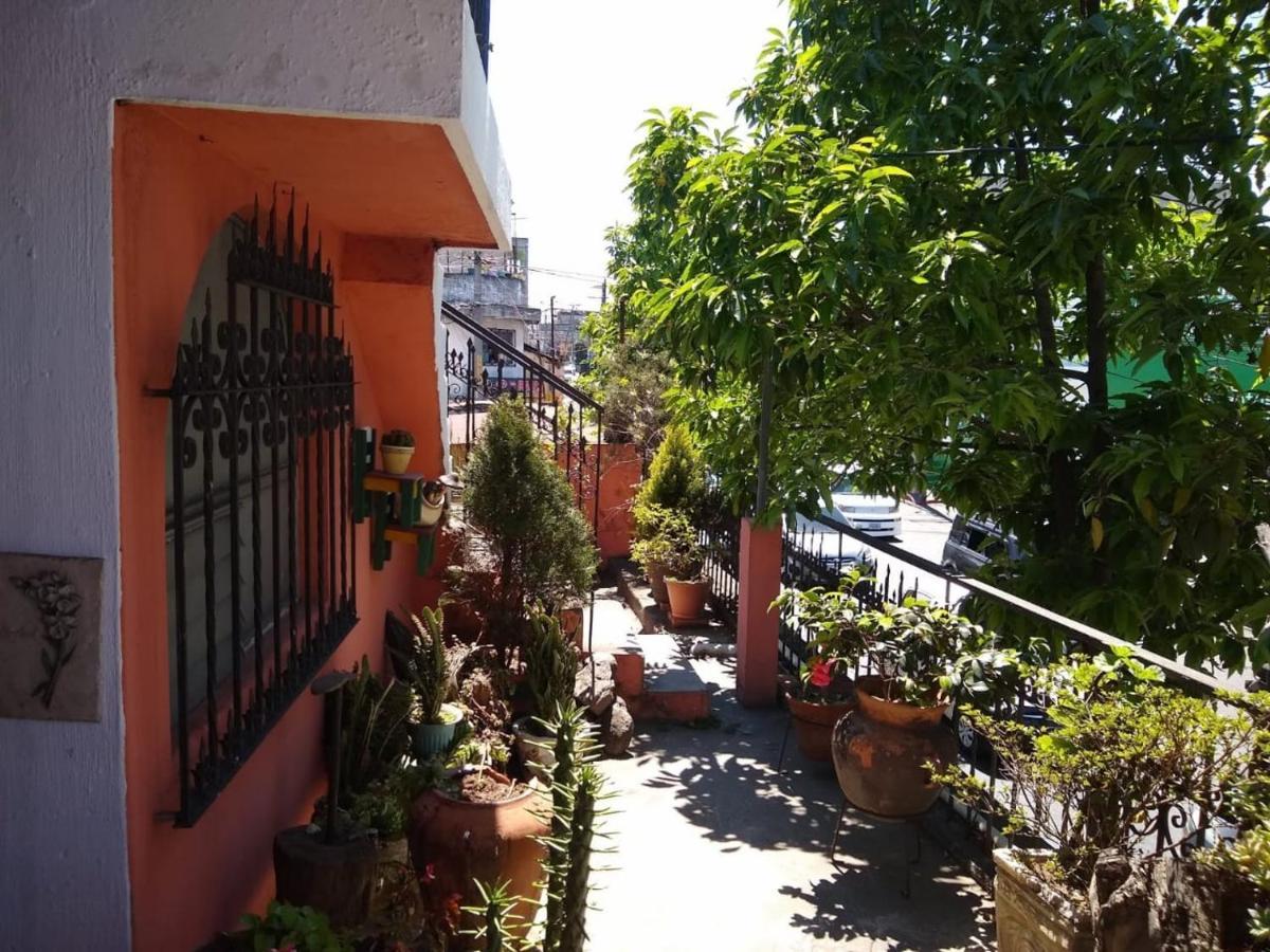 Habitaciones Eco-Terrazas Guatemala City Eksteriør bilde