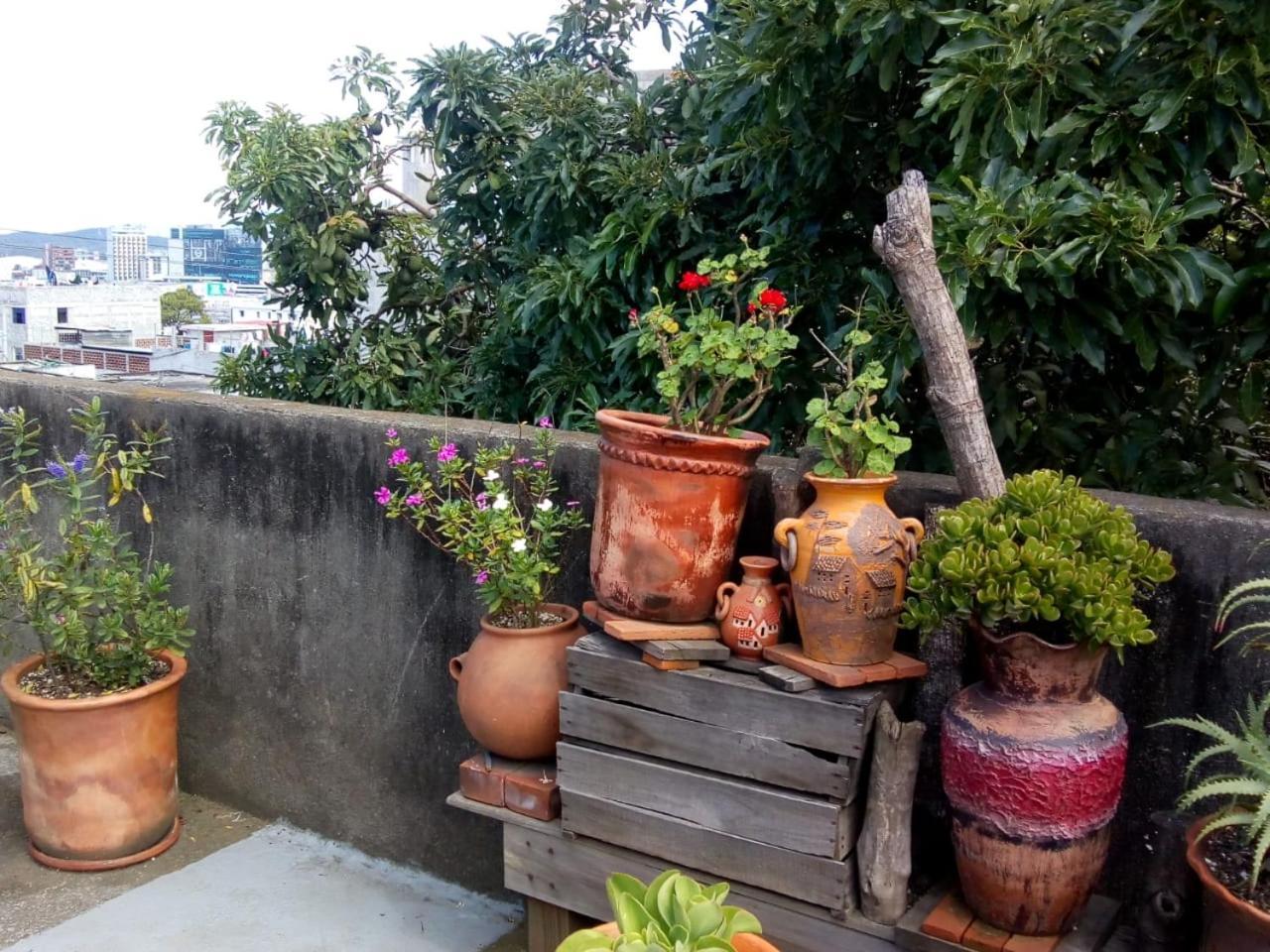 Habitaciones Eco-Terrazas Guatemala City Eksteriør bilde