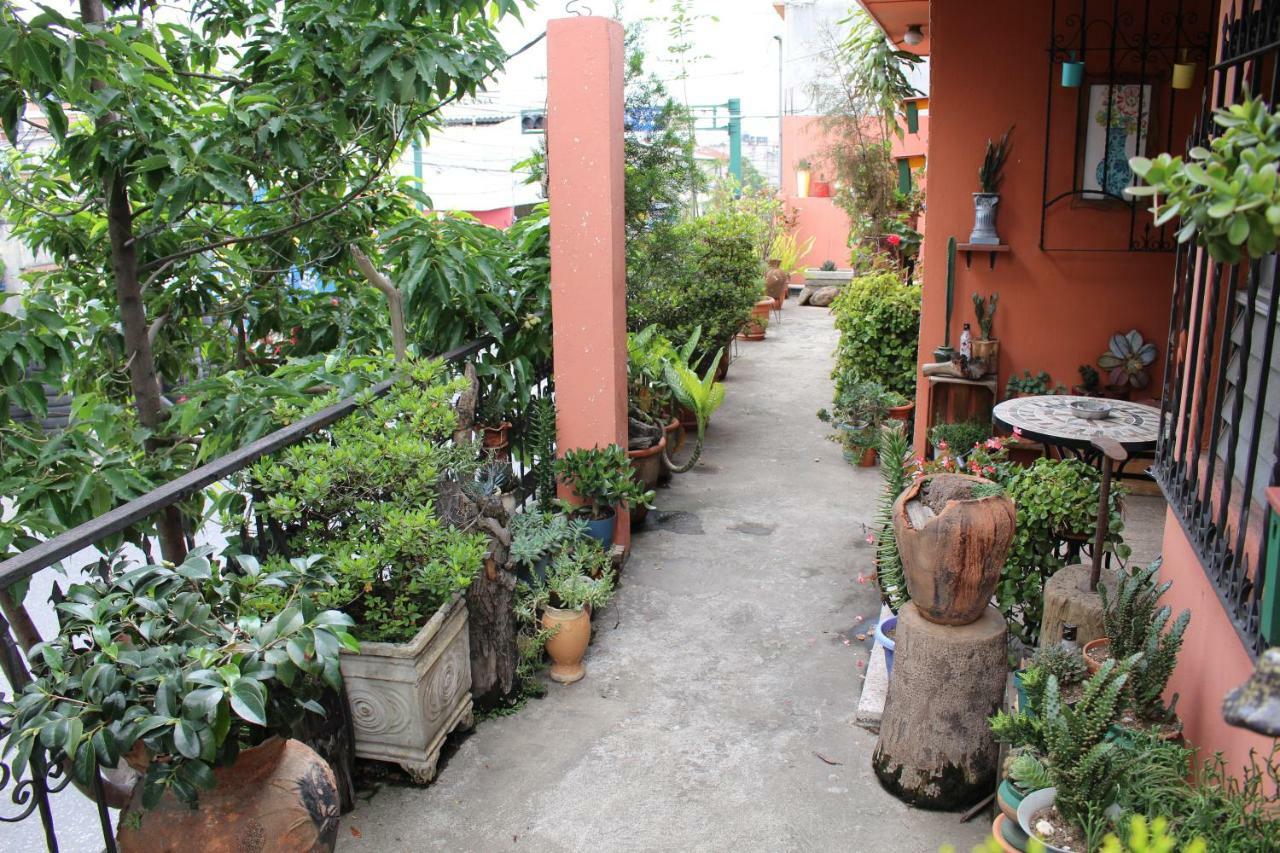 Habitaciones Eco-Terrazas Guatemala City Eksteriør bilde